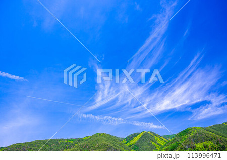 青空と新緑の山 青空と新緑の山 113996471