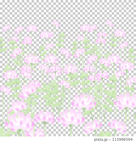 Lenge field Lenge field 113996504