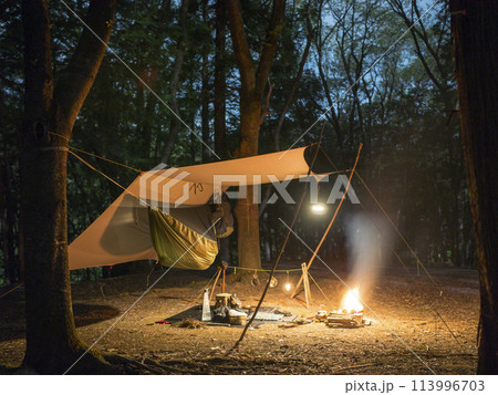 ハンモックキャンプで夜の焚火 ハンモックキャンプで夜の焚火 113996703