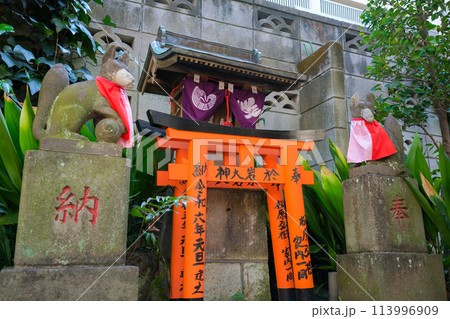 東京都新宿区 於岩稲荷田宮神社 境内の小さい稲荷社 113996909