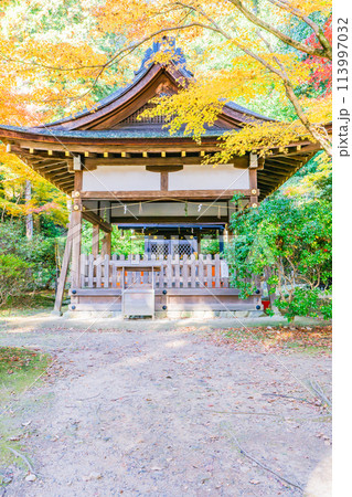 京都市北区上賀茂本山の上賀茂神社　賀茂山口神社（澤田社）の紅葉 113997032