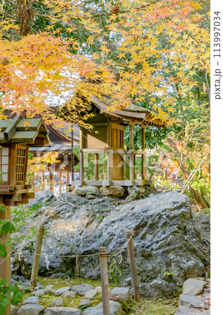京都市北区上賀茂本山の上賀茂神社 岩本神社の紅葉 京都市北区上賀茂本山の上賀茂神社 岩本神社の紅葉 113997034