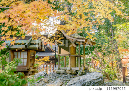 京都市北区上賀茂本山の上賀茂神社 岩本神社の紅葉 京都市北区上賀茂本山の上賀茂神社 岩本神社の紅葉 113997035