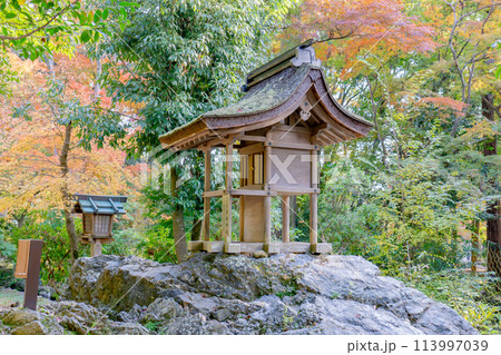 京都市北区上賀茂本山の上賀茂神社 岩本神社の紅葉 京都市北区上賀茂本山の上賀茂神社 岩本神社の紅葉 113997039