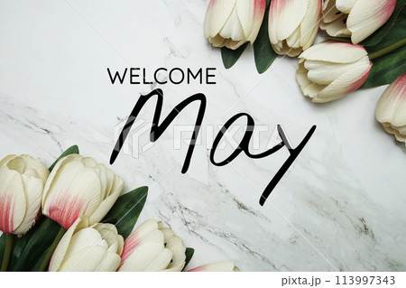 Welcome May text with Tulip flower border frame with space copy on marble background 113997343