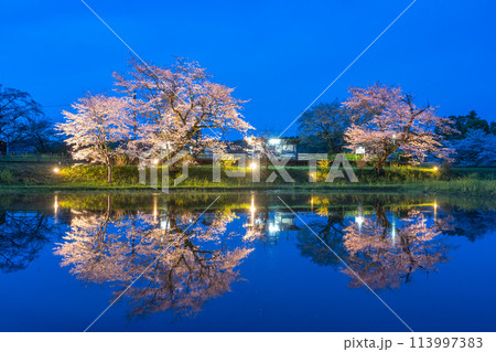 小湊鐵道　飯給駅　ライトアップされた夜桜 113997383