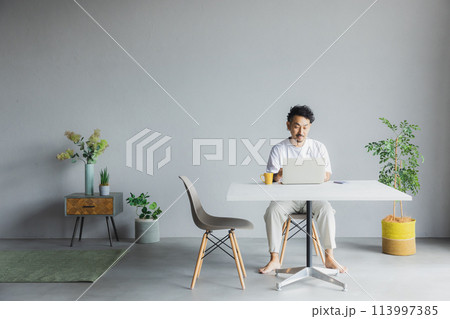 パソコンを使う男性 パソコンを使う男性 113997385