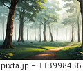 霧に包まれる森 113998436