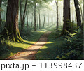 霧に包まれた森の道 113998437