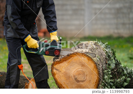 A man in uniform cuts an old tree in the yard with an electric saw 113998793