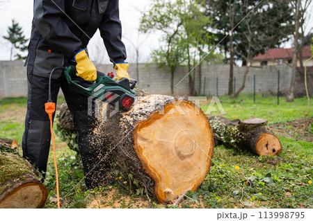 A man in uniform cuts an old tree in the yard with an electric saw 113998795