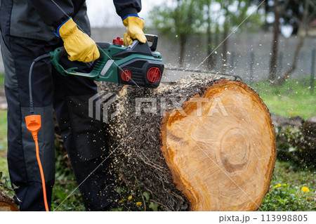 A man in uniform cuts an old tree in the yard with an electric saw A man in uniform cuts an old tree in the yard with an electric saw 113998805