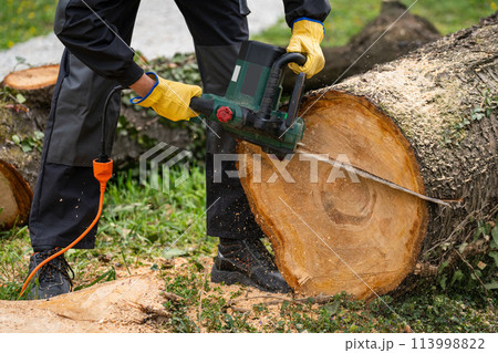 A man in uniform cuts an old tree in the yard with an electric saw 113998822