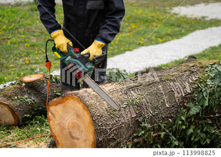 A man in uniform cuts an old tree in the yard with an electric saw A man in uniform cuts an old tree in the yard with an electric saw 113998825