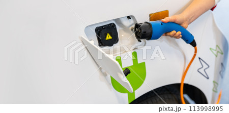 Woman holding plug of electric car charging station 113998995