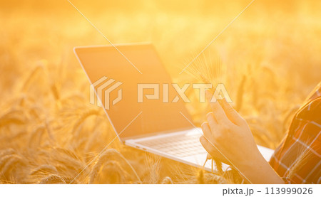 Woman farmer working with laptop on wheat field. Smart farming and digital agriculture Woman farmer working with laptop on wheat field. Smart farming and digital agriculture 113999026