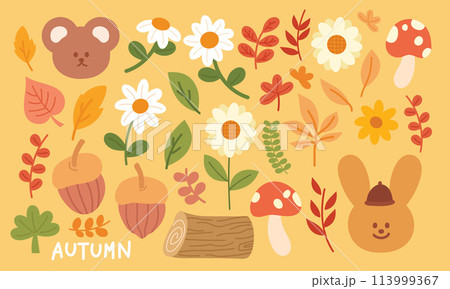 Illustration of autumn elements such as teddy bear, bunny, flowers, mushroom, timber wood, walnut, orange leaves, red leaves for stickers, decoration, fall season, weather, nature, garden, animal Illustration of autumn elements such as teddy bear, bunny, flowers, mushroom, timber wood, walnut, orange leaves, red leaves for stickers, decoration, fall season, weather, nature, garden, animal 113999367