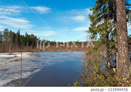 Snowy  spring landscape 113999438