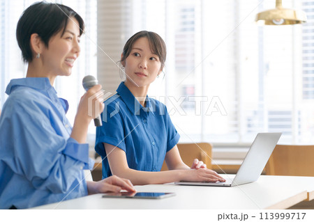 ミーティングをするビジネスウーマン 113999717