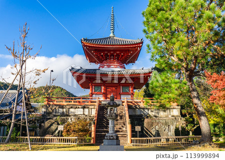 京都市右京区嵯峨大沢町の大覚寺 心経宝塔(多宝塔) 京都市右京区嵯峨大沢町の大覚寺 心経宝塔(多宝塔) 113999894