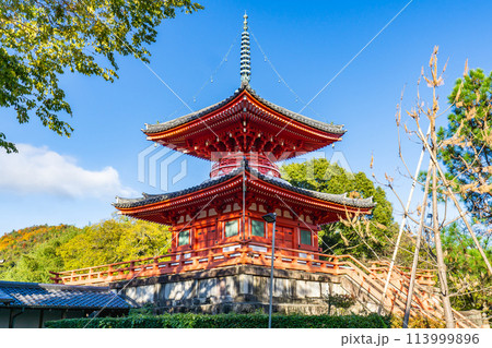 京都市右京区嵯峨大沢町の大覚寺　心経宝塔（多宝塔） 113999896