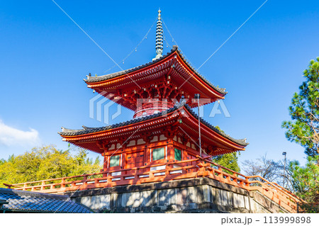 京都市右京区嵯峨大沢町の大覚寺　心経宝塔（多宝塔） 113999898