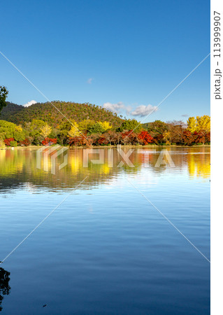 京都嵯峨野大覚寺の大沢池(日本最古の人工池)の紅葉 京都嵯峨野大覚寺の大沢池(日本最古の人工池)の紅葉 113999907