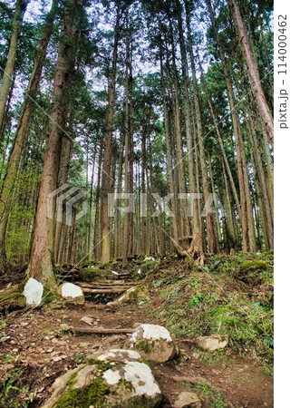 登山道 114000462