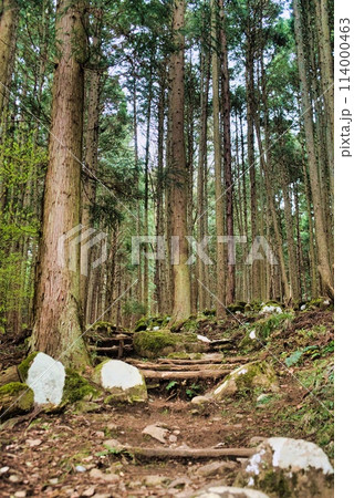 登山道 登山道 114000463