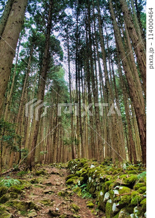 登山道 登山道 114000464