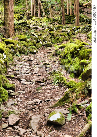 登山道 114000467