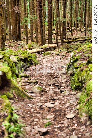 登山道 登山道 114000471