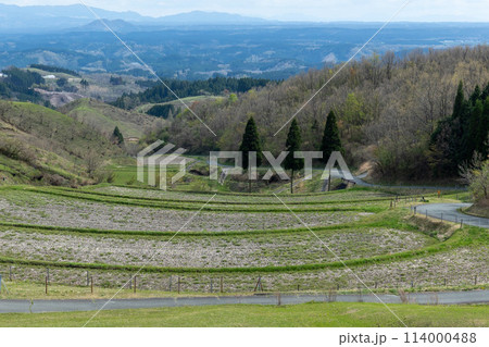 扇棚田展望所  114000488