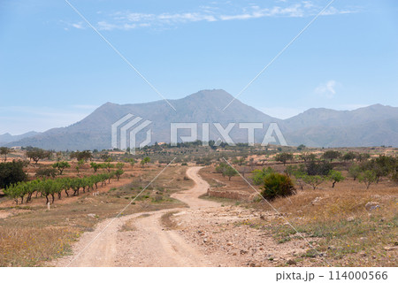 View of a country road among farmlands, almond trees, and olive trees in Spain View of a country road among farmlands, almond trees, and olive trees in Spain 114000566