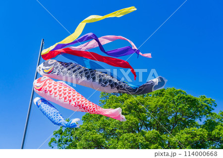 こいのぼり・5月 イメージ 114000668