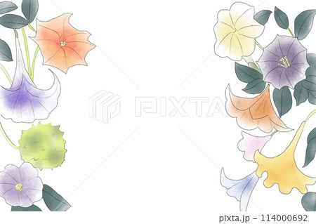 ダツラ、ダチュラ、朝鮮朝顔の花のカード2 ダツラ、ダチュラ、朝鮮朝顔の花のカード2 114000692