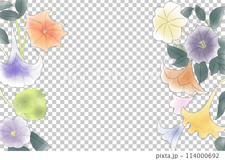 ダツラ、ダチュラ、朝鮮朝顔の花のカード2 ダツラ、ダチュラ、朝鮮朝顔の花のカード2 114000692