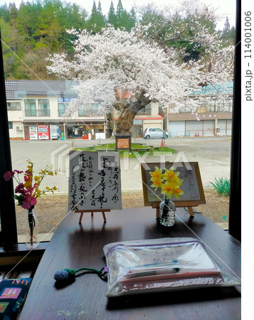 桜満開のJR中山平温泉駅 桜満開のJR中山平温泉駅 114001006