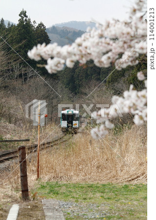 桜満開のJR中山平温泉駅 114001213