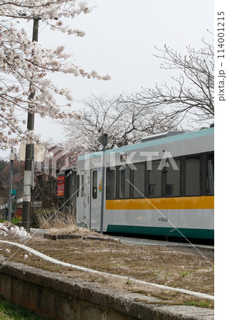 桜満開のJR中山平温泉駅 桜満開のJR中山平温泉駅 114001215