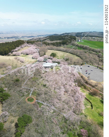 桜満開の加護坊山　空撮 114001922