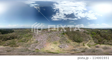 桜満開の加護坊山 空撮 VR 桜満開の加護坊山 空撮 VR 114001931