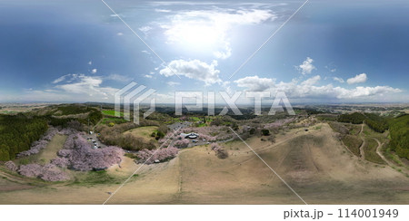 桜満開の加護坊山　空撮　VR 114001949