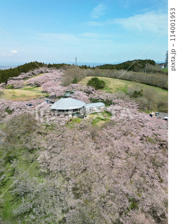 桜満開の加護坊山 空撮 桜満開の加護坊山 空撮 114001953