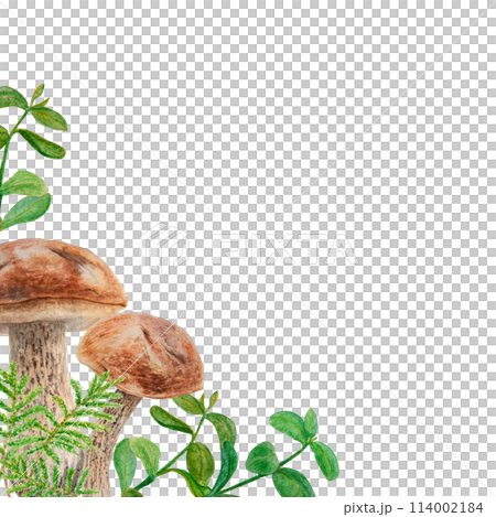Wild edible mushrooms, moss and cranberry leaves, cowberry branches watercolor hand drawn botanical realistic corner. Forest boletus frame. Great for printing on fabric, invitations, menu, print, card 114002184