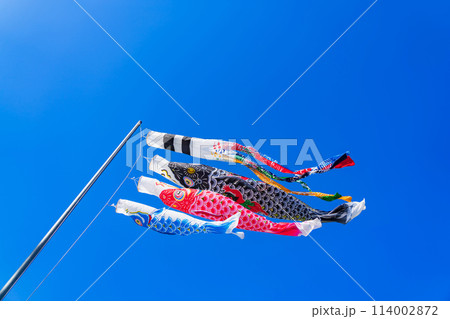 こいのぼり・5月 イメージ 114002872