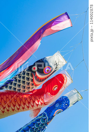 こいのぼり・5月 イメージ こいのぼり・5月 イメージ 114002878