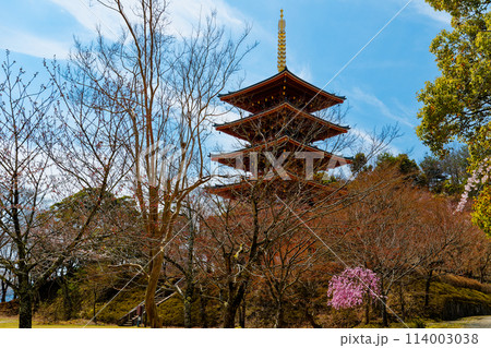 成相寺五重塔 成相寺五重塔 114003038