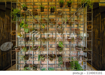 Rack of tree plant pots. Rack of tree plant pots. 114003101