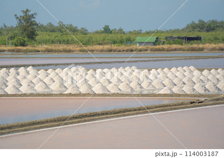 Farmers making heaps of raw sea salt piles with sea. Farm field outdoor. Nature material in traditional salt industry in Thailand. Asia culture. Agriculture lifestyle people. Farmers making heaps of raw sea salt piles with sea. Farm field outdoor. Nature material in traditional salt industry in Thailand. Asia culture. Agriculture lifestyle people. 114003187